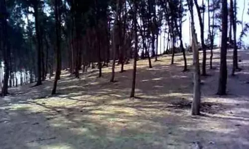 Juneput में हाथ-पैर बंधा मिला युवती का शव Juneput में हाथ-पैर बंधा मिला युवती का शव
