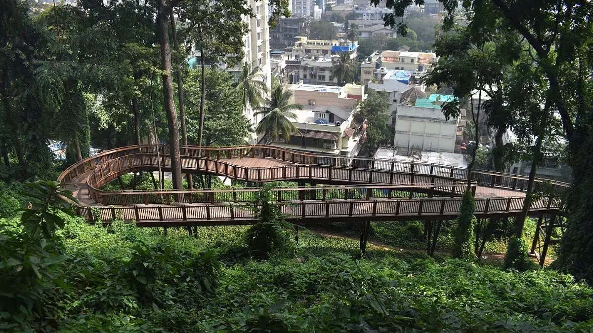 Mumbai : मालाबार हिल नेचर ट्रेल मॉनसून में हॉटस्पॉट बन गया है Mumbai : मालाबार हिल नेचर ट्रेल मॉनसून में हॉटस्पॉट बन गया है
