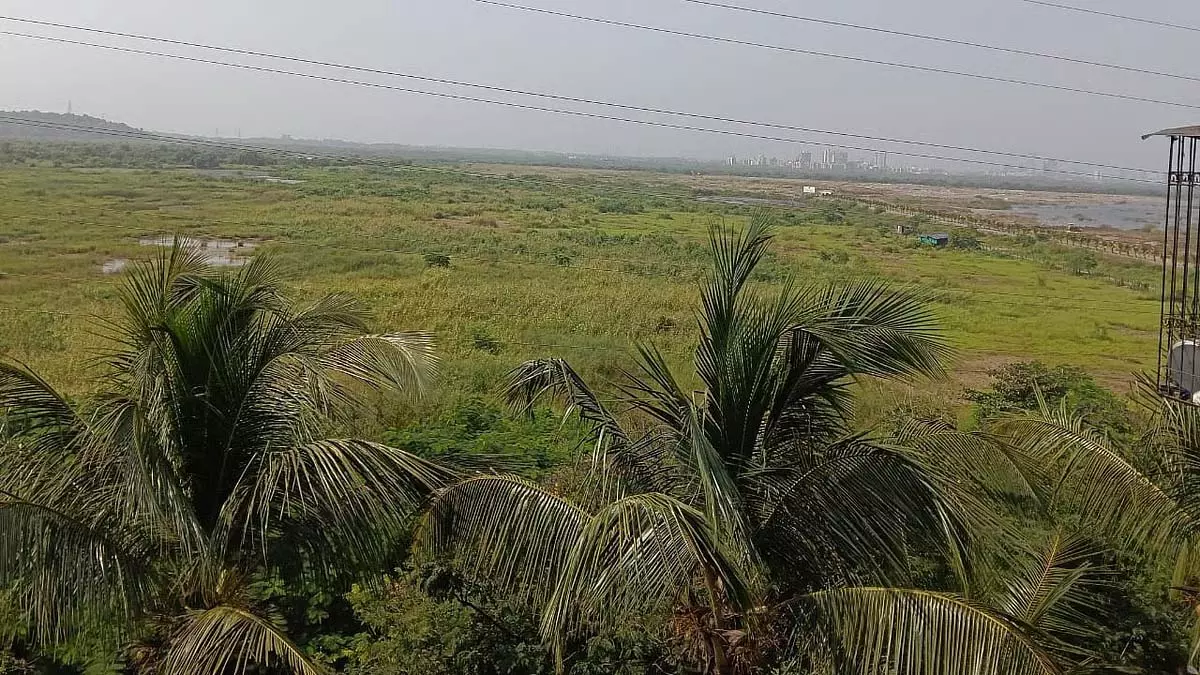 महाराष्ट्र नेशनल लॉ यूनिवर्सिटी ने गोरेगांव में अपने ग्रीनफील्ड कैंपस के लिए EOI जारी किया महाराष्ट्र नेशनल लॉ यूनिवर्सिटी ने गोरेगांव में अपने ग्रीनफील्ड कैंपस के लिए EOI जारी किया