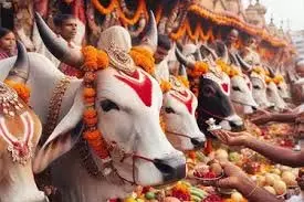 Gopashtami 2025: मनोकामनाओं की पूर्ति दिन है गोपाष्टमी पर्व, करलें ये 5 उपाय तो नहीं आएगी काम में बाधा Gopashtami 2025: मनोकामनाओं की पूर्ति दिन है गोपाष्टमी पर्व, करलें ये 5 उपाय तो नहीं आएगी काम में बाधा