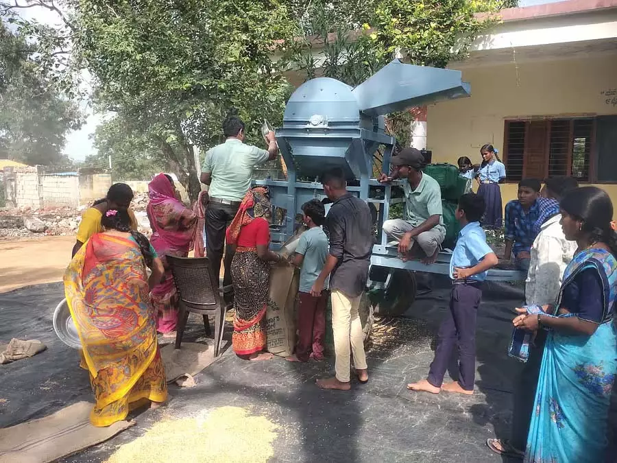 कीड़े लगे राशन: शिक्षकों ने उन्हें साफ़ किया कीड़े लगे राशन: शिक्षकों ने उन्हें साफ़ किया