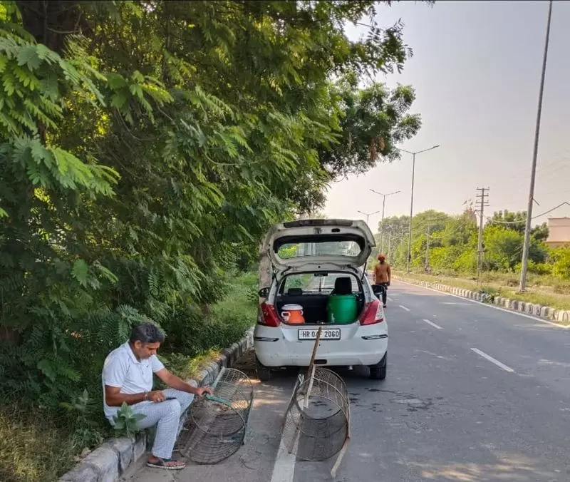 15 साल, 2 हज़ार पौधे, 3 राज्य Sirsa के इस व्यक्ति का दृढ़ संकल्प 15 साल, 2 हज़ार पौधे, 3 राज्य Sirsa के इस व्यक्ति का दृढ़ संकल्प