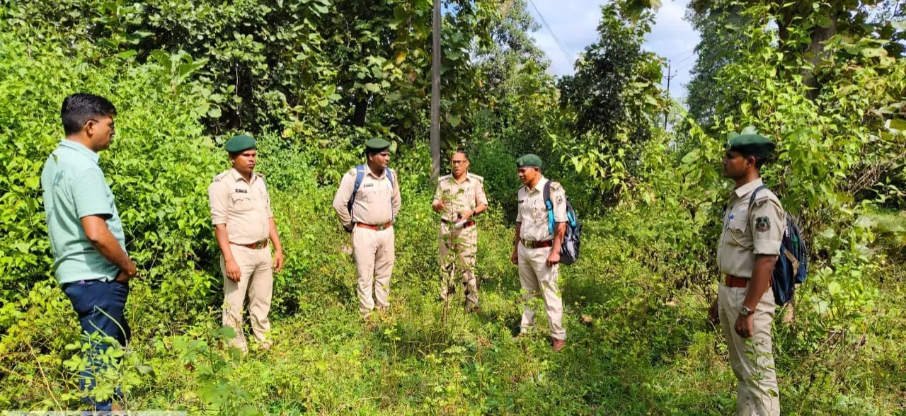 वनमण्डलाधिकारी ने अमरूवा एवं गोलझर क्षेत्र का किया निरीक्षण वनमण्डलाधिकारी ने अमरूवा एवं गोलझर क्षेत्र का किया निरीक्षण
