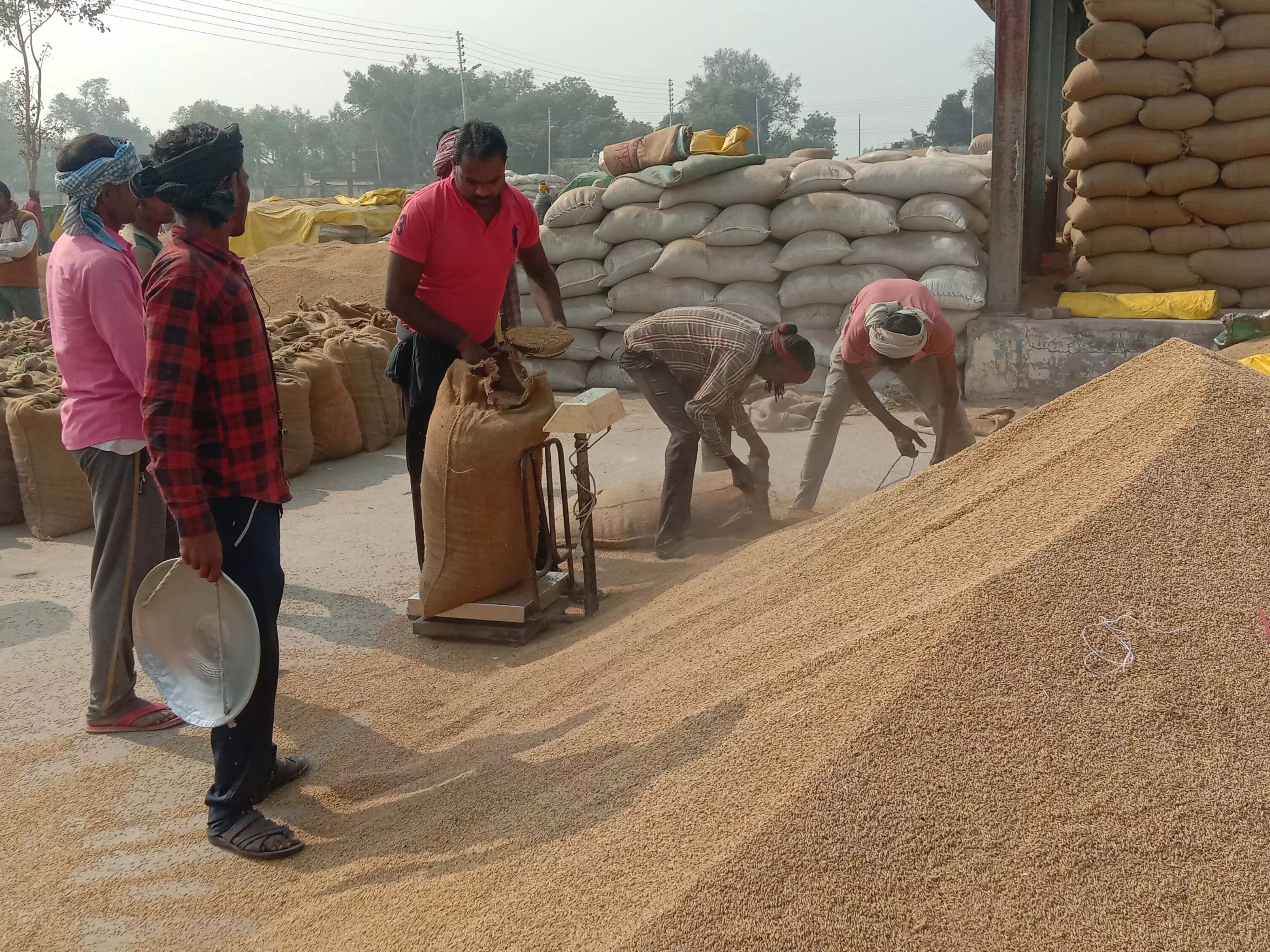 धान बिक्री के लिए किसान पंजीयन करने की अंतिम तिथि 31 अक्टूबर धान बिक्री के लिए किसान पंजीयन करने की अंतिम तिथि 31 अक्टूबर