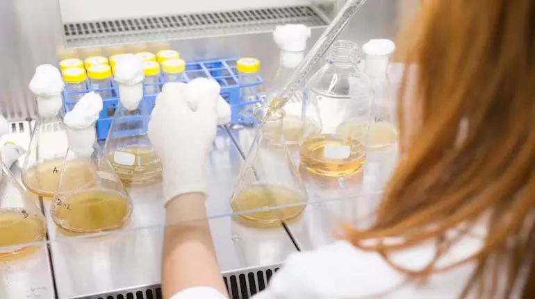 Thermo Fisher ने बेंगलुरु अनुसंधान एवं विकास केंद्र के विस्तार के लिए 160 करोड़ रुपये का निवेश Thermo Fisher ने बेंगलुरु अनुसंधान एवं विकास केंद्र के विस्तार के लिए 160 करोड़ रुपये का निवेश