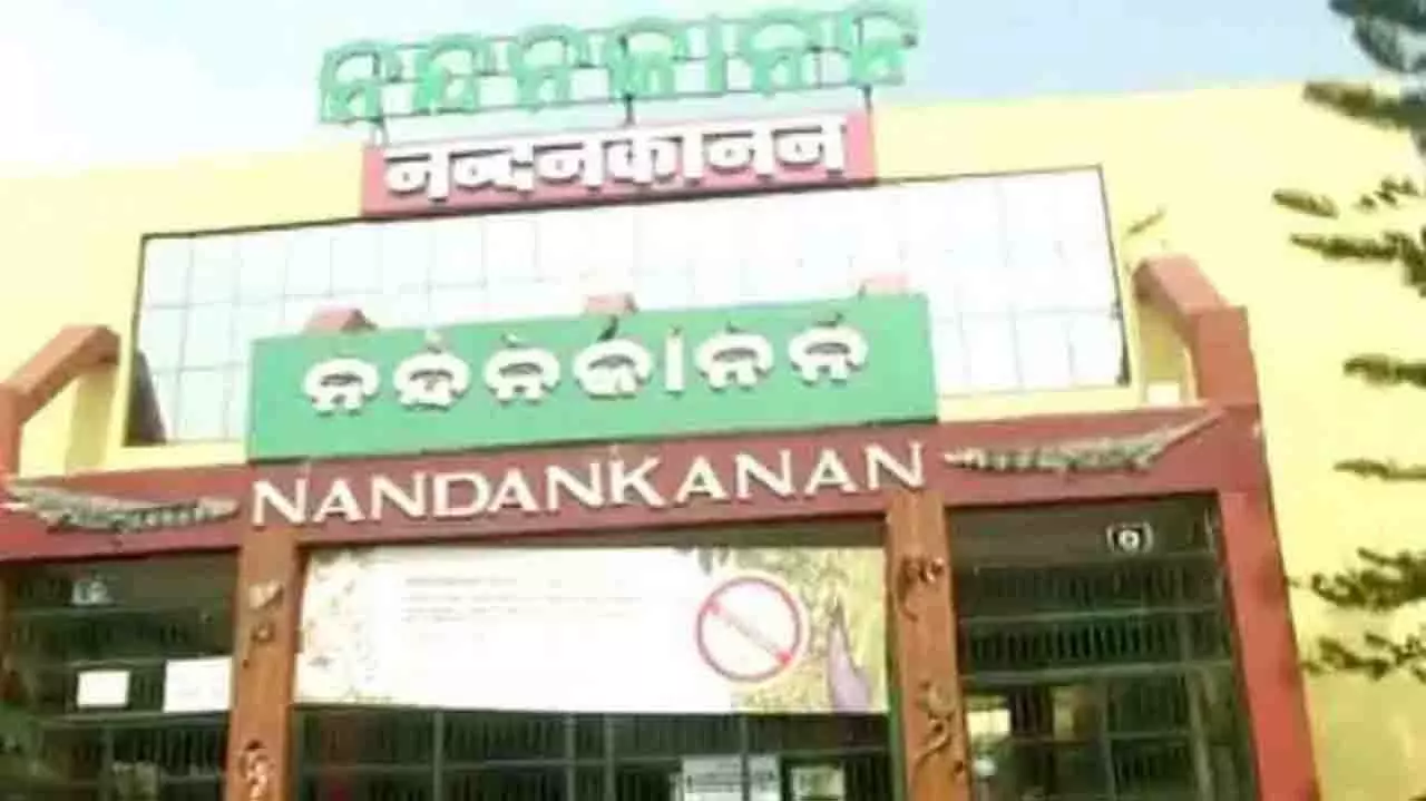 चक्रवात ‘मोंथा’ के कारण नंदनकानन चिड़ियाघर 29 अक्टूबर को बंद रहेगा चक्रवात ‘मोंथा’ के कारण नंदनकानन चिड़ियाघर 29 अक्टूबर को बंद रहेगा