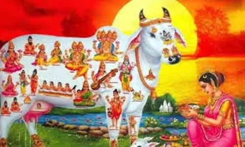 Gopashtami: जानिए कब मनाया जाएगा गोपाष्टमी ,सही तिथि, पूजा विधि Gopashtami: जानिए कब मनाया जाएगा गोपाष्टमी ,सही तिथि, पूजा विधि