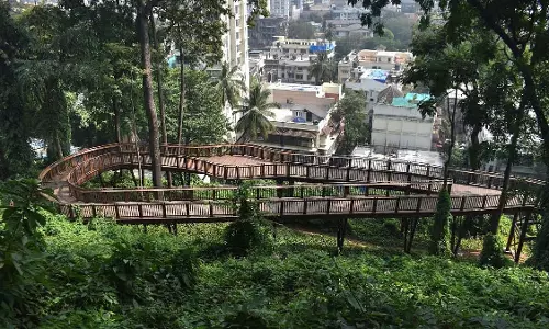 Mumbai : मालाबार हिल नेचर ट्रेल मॉनसून में हॉटस्पॉट बन गया है Mumbai : मालाबार हिल नेचर ट्रेल मॉनसून में हॉटस्पॉट बन गया है