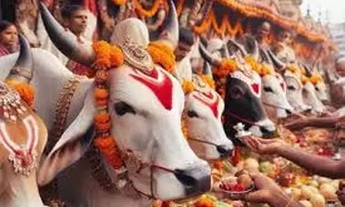 Gopashtami 2025: मनोकामनाओं की पूर्ति दिन है गोपाष्टमी पर्व, करलें ये 5 उपाय तो नहीं आएगी काम में बाधा Gopashtami 2025: मनोकामनाओं की पूर्ति दिन है गोपाष्टमी पर्व, करलें ये 5 उपाय तो नहीं आएगी काम में बाधा