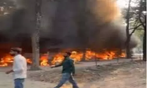 Punjab: छतबीर चिड़ियाघर में भयानक आग, मचा हड़कंप