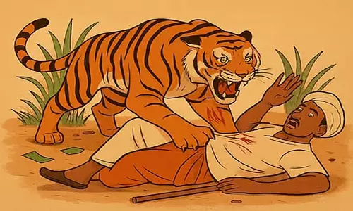 डिपार्टमेंट्स के बीच तालमेल की कमी के कारण बांदीपुर के पास बार-बार बाघों के हमले हो रहे