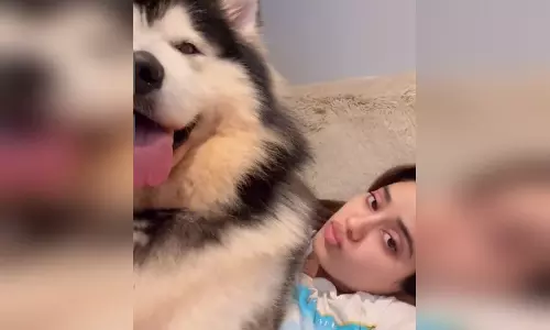 Janhvi Kapoor अपने पालतू हस्की के साथ खेलती दिखीं