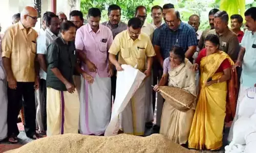 Kerala : अलाथुर कोऑपरेटिव बैंक ने धान इकट्ठा करना शुरू कर दिया Kerala : अलाथुर कोऑपरेटिव बैंक ने धान इकट्ठा करना शुरू कर दिया