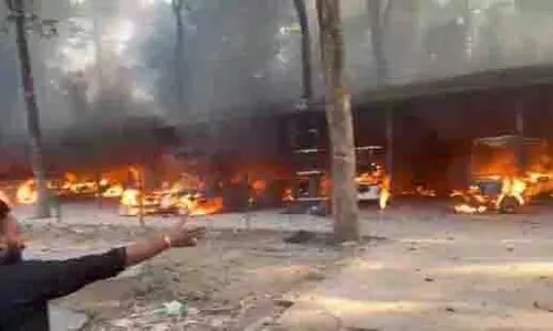 Chhatbir चिड़ियाघर में आग लगने से 18 ई-रिक्शा जलकर खाक