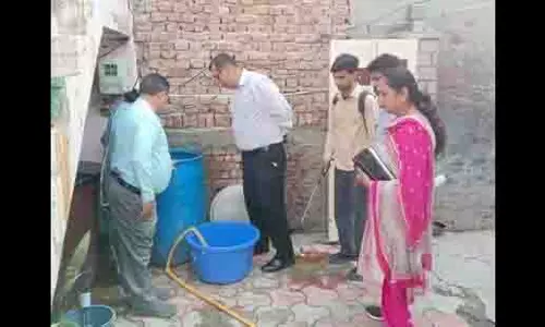 Punjab में डेंगू और चिकनगुनिया के मामलों में तेज वृद्धि