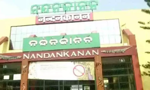 चक्रवात ‘मोंथा’ के कारण नंदनकानन चिड़ियाघर 29 अक्टूबर को बंद रहेगा चक्रवात ‘मोंथा’ के कारण नंदनकानन चिड़ियाघर 29 अक्टूबर को बंद रहेगा