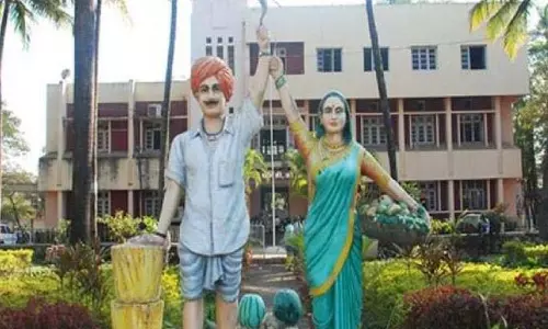 मंडी बोर्ड ने राज्य की मंडी समितियों में भर्ती पर रोक लगाने का आदेश दिया