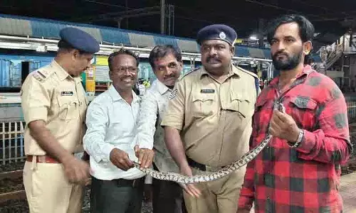 Khammam: अंडमान एक्सप्रेस के शौचालय में सांप दिखने से यात्री दहशत में Khammam: अंडमान एक्सप्रेस के शौचालय में सांप दिखने से यात्री दहशत में