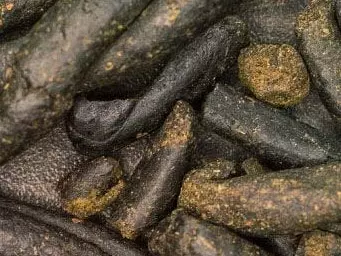 BCA छात्र चरस बेचते गिरफ्तार, 1 करोड़ 5 लाख का माल जब्त BCA छात्र चरस बेचते गिरफ्तार, 1 करोड़ 5 लाख का माल जब्त