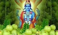 Akshaya Navami 2025: जानें कब मनाई जाएगी अक्षय नवमी,शुभ मुहूर्त महत्व Akshaya Navami 2025: जानें कब मनाई जाएगी अक्षय नवमी,शुभ मुहूर्त महत्व