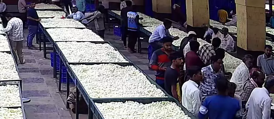 साइक्लोन मोंथा से रेशम उत्पादन प्रभावित: किसानों को फिर से मुश्किलों का सामना करना पड़ रहा साइक्लोन मोंथा से रेशम उत्पादन प्रभावित: किसानों को फिर से मुश्किलों का सामना करना पड़ रहा