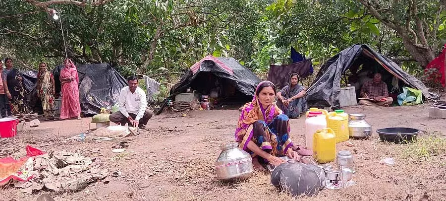 गन्ने की कटाई अभी शुरू नहीं हुई है: मजदूर बेरोजगार हो गए हैं गन्ने की कटाई अभी शुरू नहीं हुई है: मजदूर बेरोजगार हो गए हैं