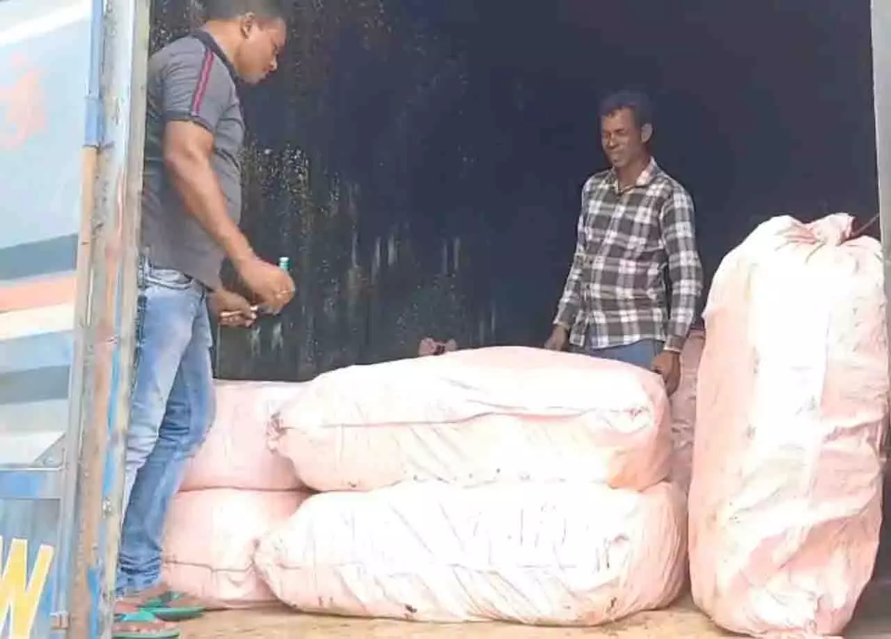 मलकानगिरी पुलिस ने 24 घंटे में 17 करोड़ रुपये का गांजा जब्त किया मलकानगिरी पुलिस ने 24 घंटे में 17 करोड़ रुपये का गांजा जब्त किया