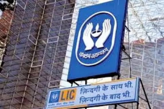 LIC किसी की सनक और पसंद से नहीं चलती, इसके लिए कड़े नियम हैं LIC किसी की सनक और पसंद से नहीं चलती, इसके लिए कड़े नियम हैं