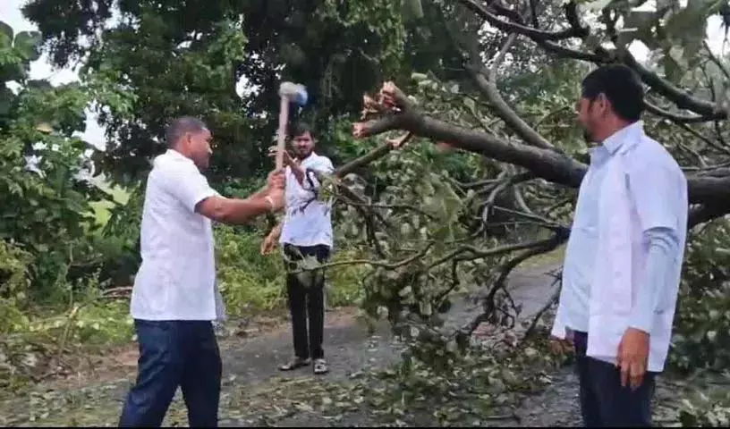 108 ambulance दल ने गिरे हुए पेड़ों को हटाकर दो लोगों की जान बचाई 108 ambulance दल ने गिरे हुए पेड़ों को हटाकर दो लोगों की जान बचाई