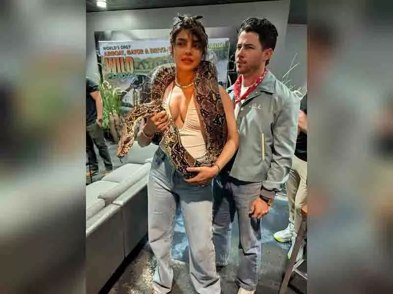 प्रियंका चोपड़ा ने गले में सांप लटकाकर पोज दिया, निक जोनास ने तारीफ की प्रियंका चोपड़ा ने गले में सांप लटकाकर पोज दिया, निक जोनास ने तारीफ की