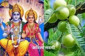 Amla Navami: सतयुग की शुरुआत और विशेष पूजा विधि Amla Navami: सतयुग की शुरुआत और विशेष पूजा विधि