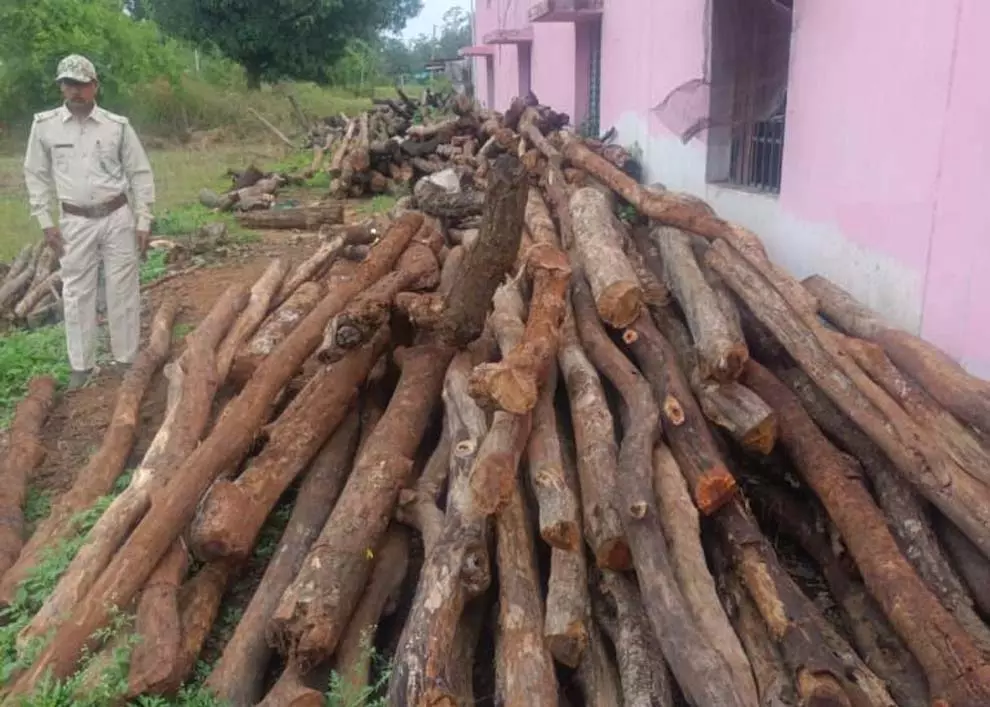होटल-ढाबों से अवैध लकड़ी जब्त, तीन मामला दर्ज होटल-ढाबों से अवैध लकड़ी जब्त, तीन मामला दर्ज