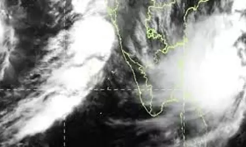 Andhra Pradesh: मोन्था का कहर, हजारों हेक्टेयर फसलें बर्बाद