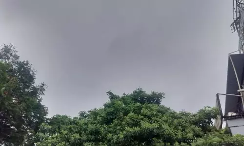 छत्तीसगढ़ के कई जिलों में तेज हवाओं के साथ भारी बारिश होने की चेतावनी