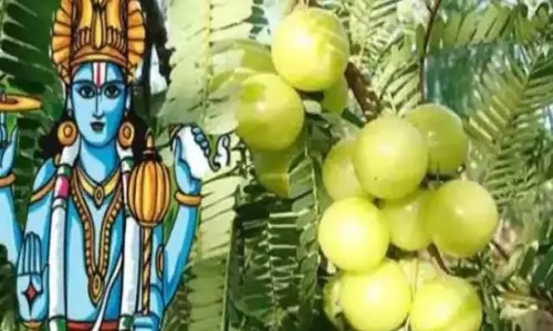 Amla Navami: आंवला नवमी पर जिस घर में होता है ये काम, वहां कभी नहीं होता धन और शांति का नाश Amla Navami: आंवला नवमी पर जिस घर में होता है ये काम, वहां कभी नहीं होता धन और शांति का नाश