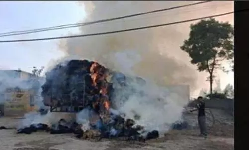 Punjab: पराली से भरी ओवरलोड ट्रैक्टर ट्रॉली में आग, मचा हड़कंप Punjab: पराली से भरी ओवरलोड ट्रैक्टर ट्रॉली में आग, मचा हड़कंप