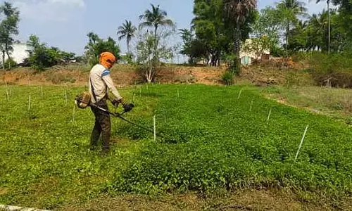 तमिलनाडु में किसानों में किडनी फेलियर बढ़ रहा है: Lancet report