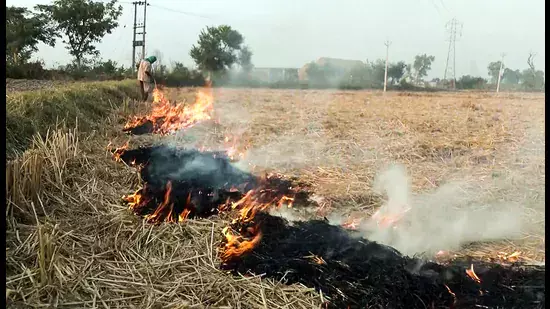 Punjab: तरनतारन में पराली जलाने के मामले में 6 अधिकारियों पर कार्रवाई Punjab: तरनतारन में पराली जलाने के मामले में 6 अधिकारियों पर कार्रवाई
