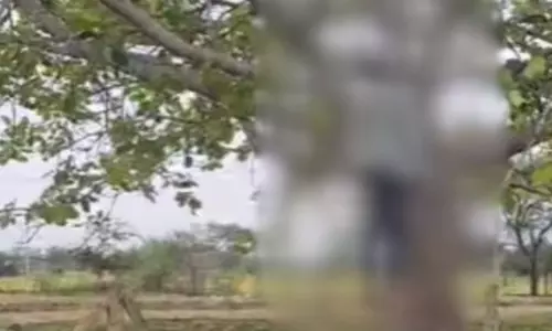 बरगद पेड़ में लटक रही थी लाश, गांव में फैली सनसनी बरगद पेड़ में लटक रही थी लाश, गांव में फैली सनसनी
