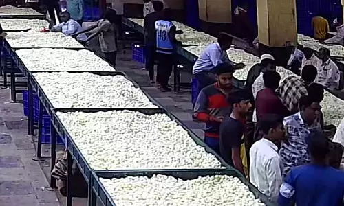 साइक्लोन मोंथा से रेशम उत्पादन प्रभावित: किसानों को फिर से मुश्किलों का सामना करना पड़ रहा