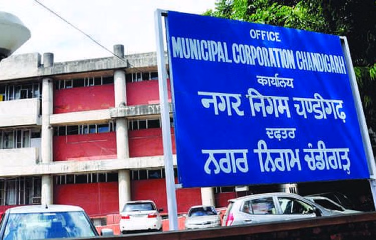 Chandigarh: जनवरी से वार्ड बंदी, नेताओं की रणनीति पर पड़ेगा असर Chandigarh: जनवरी से वार्ड बंदी, नेताओं की रणनीति पर पड़ेगा असर