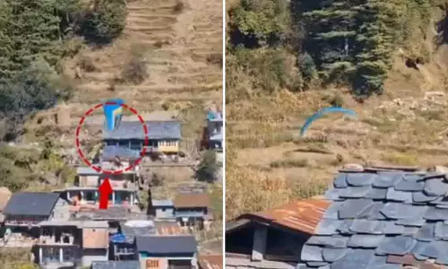 Himachal की बरोट घाटी में पैराग्लाइडर की नाटकीय क्रैश लैंडिंग बच गई