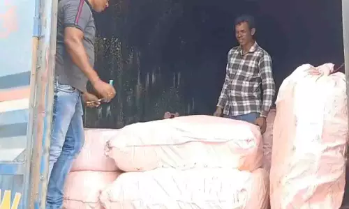 मलकानगिरी पुलिस ने 24 घंटे में 17 करोड़ रुपये का गांजा जब्त किया