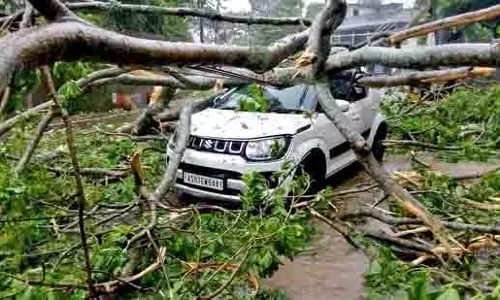 बेंगलुरु में इस मानसून दोगुने पेड़ गिरे, तीन की मौत और छह घायल