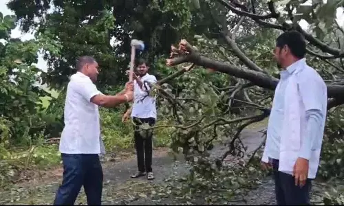 108 ambulance दल ने गिरे हुए पेड़ों को हटाकर दो लोगों की जान बचाई