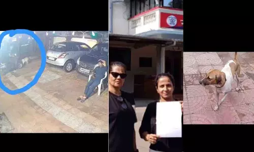 Mira Road: निवासी ने सोते हुए कुत्ते के पैर पर दोपहिया वाहन चढ़ा दिया
