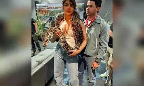 प्रियंका चोपड़ा ने गले में सांप लटकाकर पोज दिया, निक जोनास ने तारीफ की