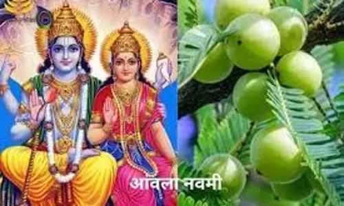Amla Navami: सतयुग की शुरुआत और विशेष पूजा विधि Amla Navami: सतयुग की शुरुआत और विशेष पूजा विधि