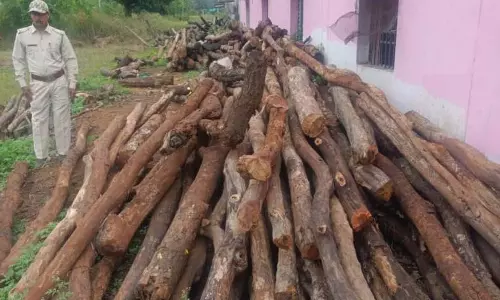 होटल-ढाबों से अवैध लकड़ी जब्त, तीन मामला दर्ज
