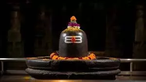 Dev Uthani Ekadashi 2025: देवउठनी एकादशी के दिन शिवलिंग पर चढ़ाएं ये चीजें, कष्टों से मिलेगी मुक्ति Dev Uthani Ekadashi 2025: देवउठनी एकादशी के दिन शिवलिंग पर चढ़ाएं ये चीजें, कष्टों से मिलेगी मुक्ति